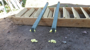 Steel columns to support French Door system are filled with foam.