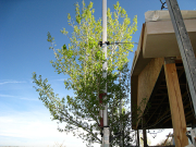 Deck & gable protected with shade trees