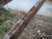 Old deck joists were in bad shape