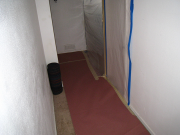 Carpet in basement is protected