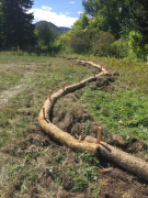 Erosion control in place