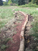 Erosion control in place by garage
