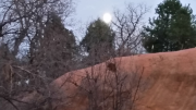 Notice full moon rising