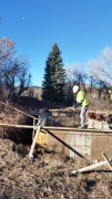 Terry placing rebar