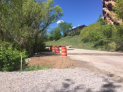 Trees by driveway removed for safer street access