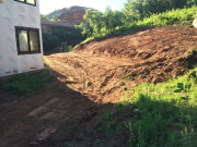 Regrading rear yard prior to removing 2nd set of trees