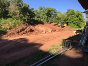Regrading rear yard prior to removing 2nd set of trees