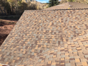 Roof shingles